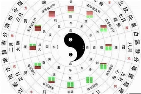 金命人特征|八字五行属金的金命人的特点